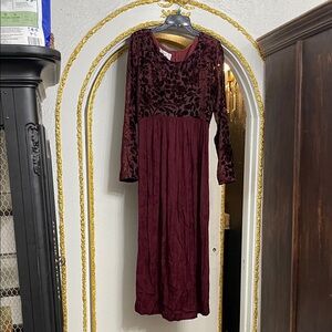Vintage Sarah Elizabeth Wine Velvet Burnout Maxi Dress | Romantic Gothic Size 12
